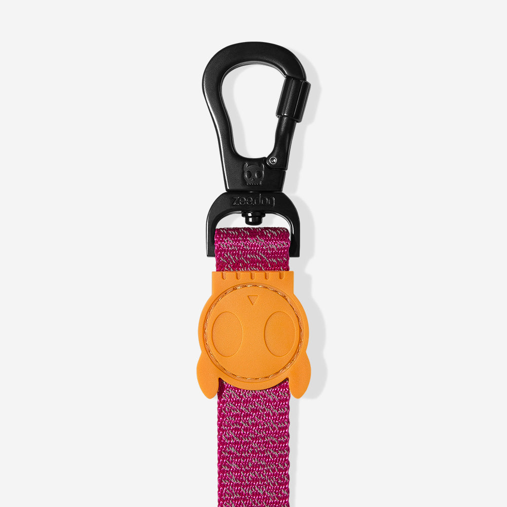 Nox Sidus Leash - with reflective details