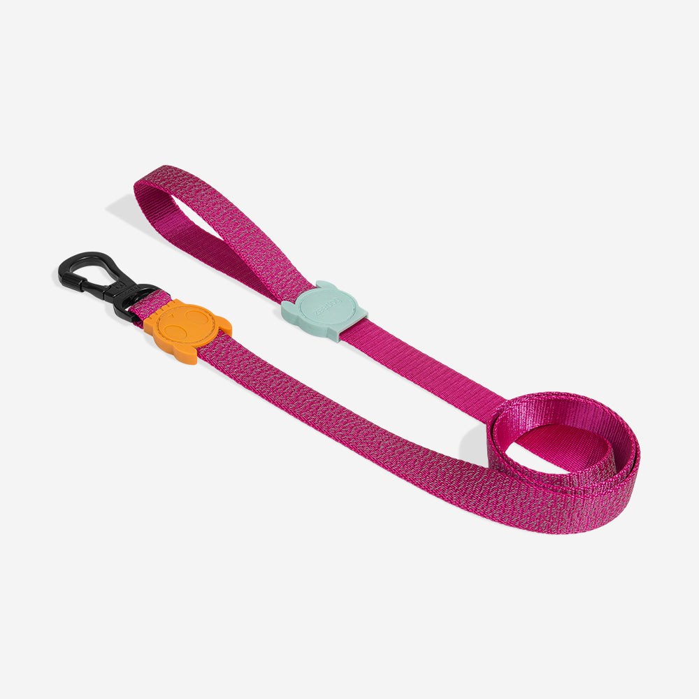Nox Sidus Leash - with reflective details