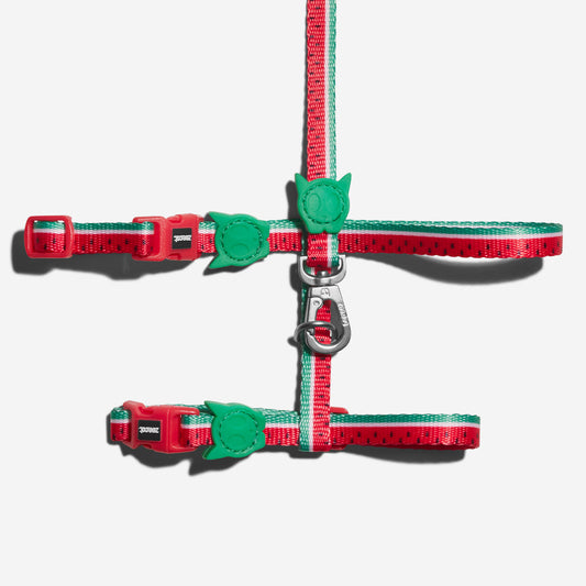 Lola Cat Harness and Leash Set