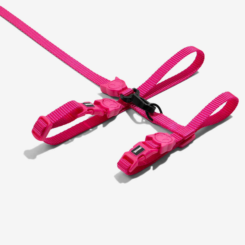 Pink Led Cat Harness and Leash Set