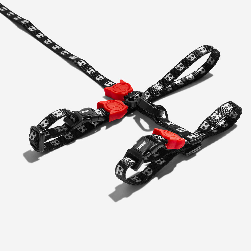 Skull 2.0 Cat Harness and Leash Set