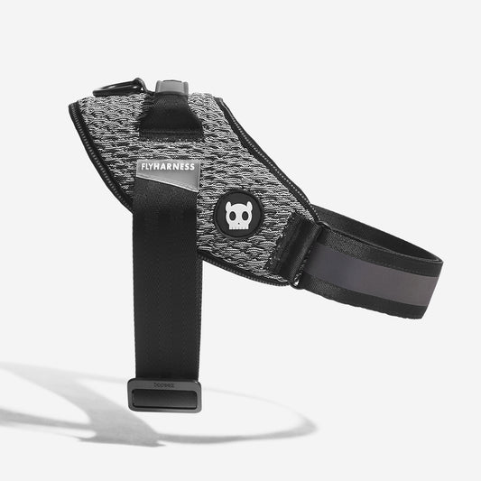 Harness with Handle - Flyharness Urban