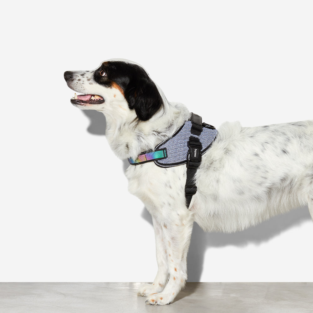 Harness with Handle - Flyharness Urban