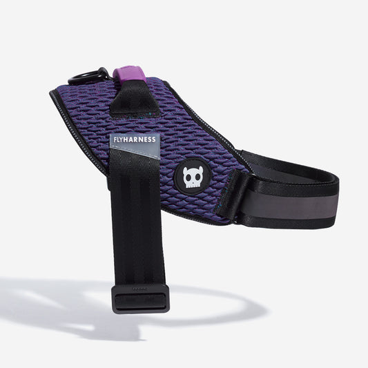 Harness with Handle - Flyharness Wicked