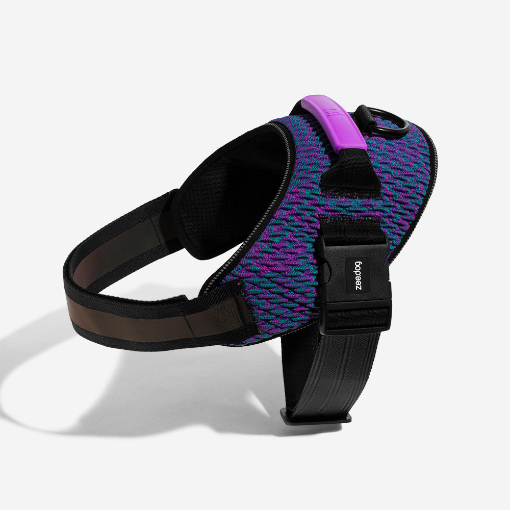 Harness with Handle - Flyharness Wicked