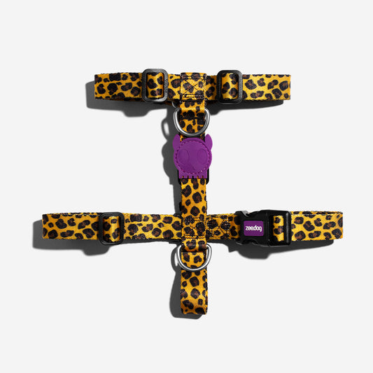 Honey H-Harness