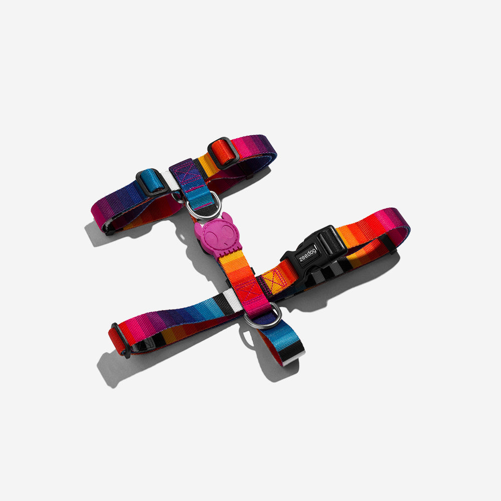 Prism H-Harness