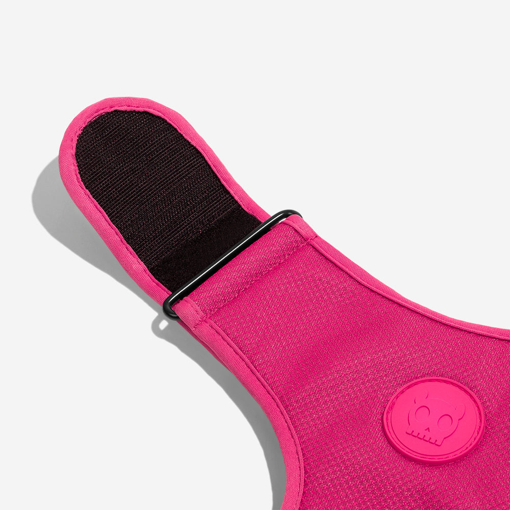 Pink Led Adjustable Mesh Harness