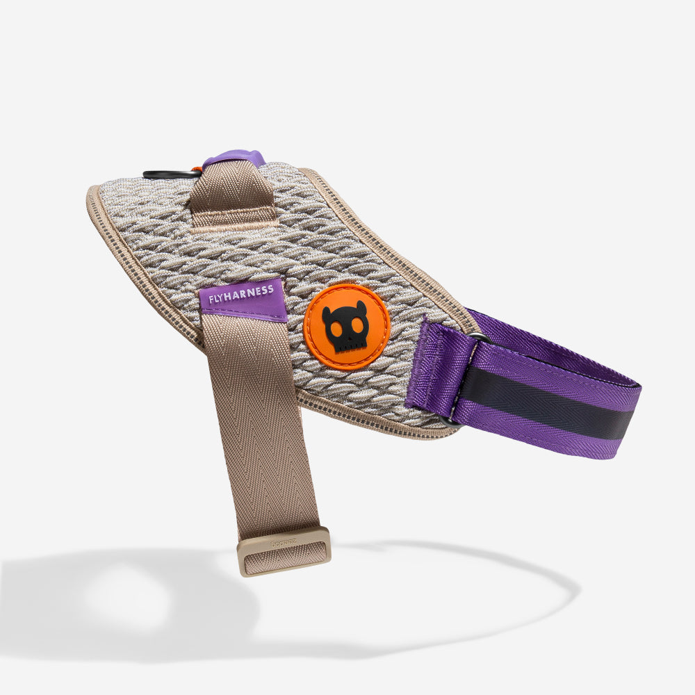Harness with handle - Flyharness Acg