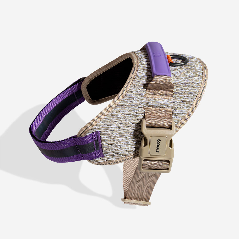 Harness with handle - Flyharness Acg