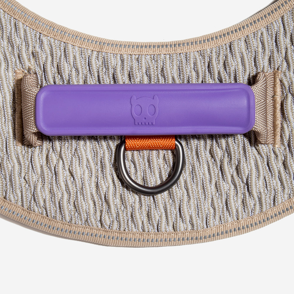 Harness with handle - Flyharness Acg