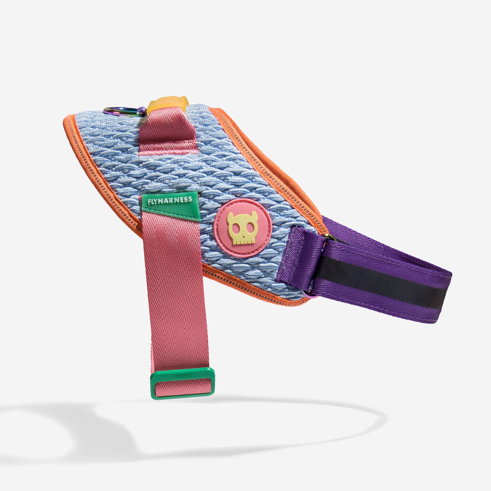 Harness with handle - Flyharness Galaxy
