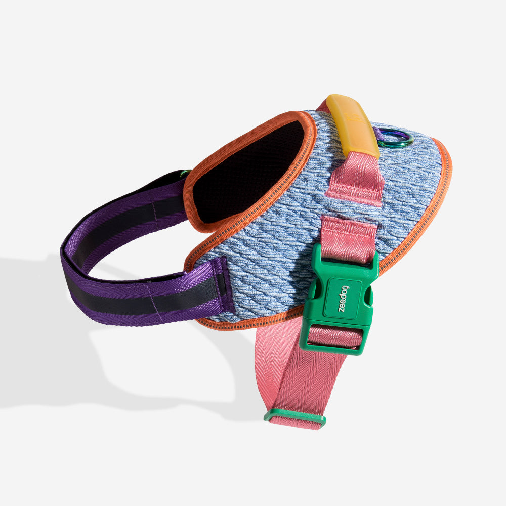 Harness with handle - Flyharness Galaxy