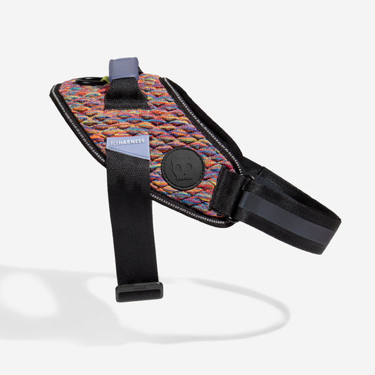 Harness with handle - Flyharness Vortex