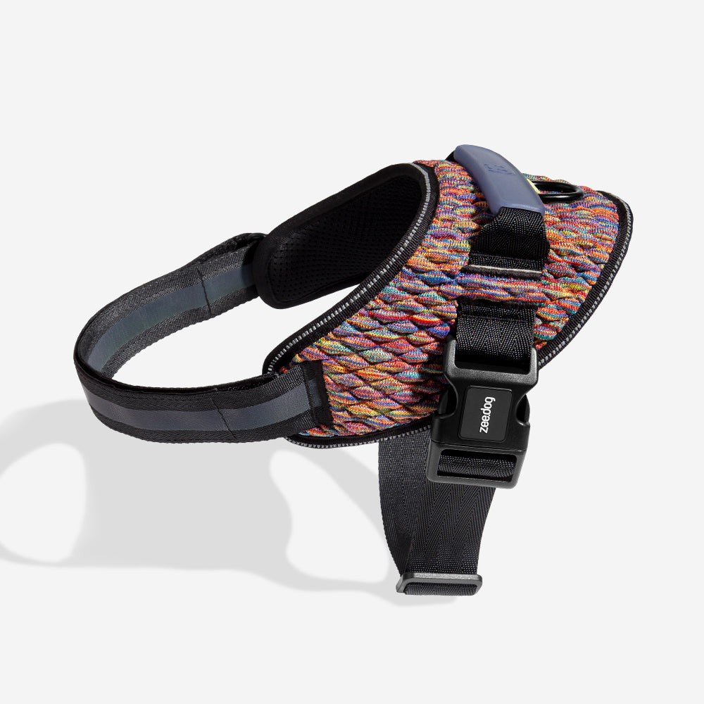 Harness with handle - Flyharness Vortex
