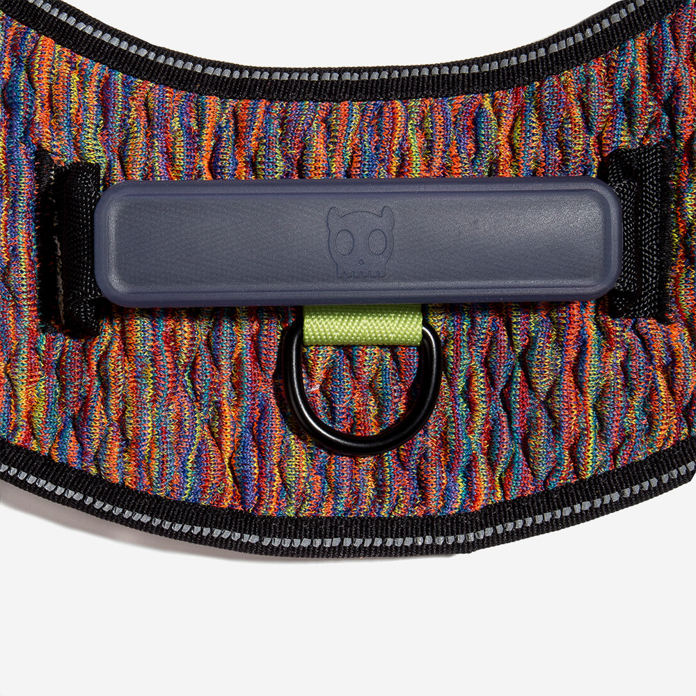 Harness with handle - Flyharness Vortex