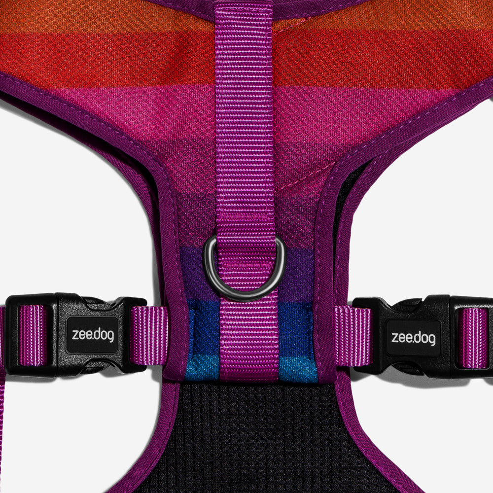 Prisma Adjustable Mesh Harness
