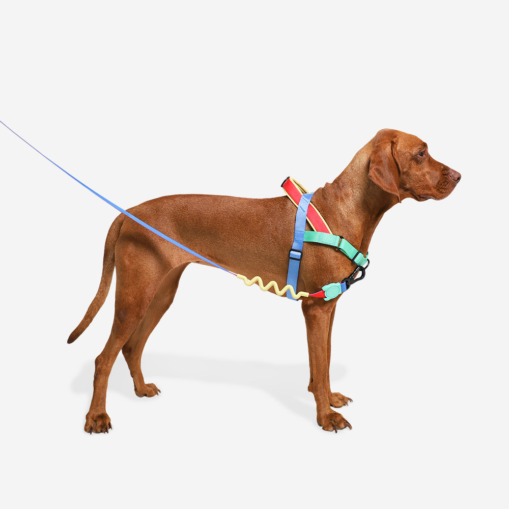 Norwegian Softer-walk Harness Softer-walk Mellow