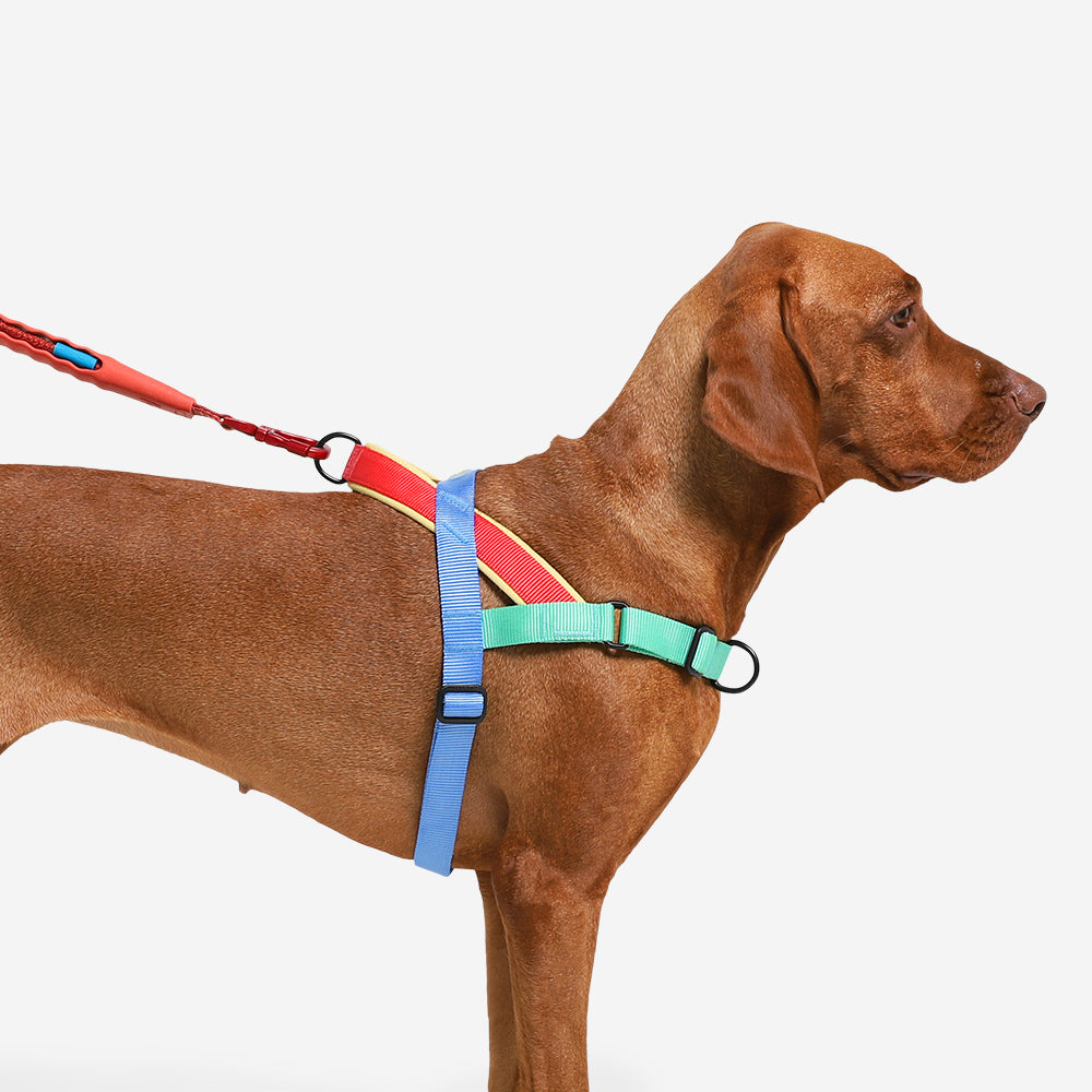 Norwegian Softer-walk Harness Softer-walk Mellow