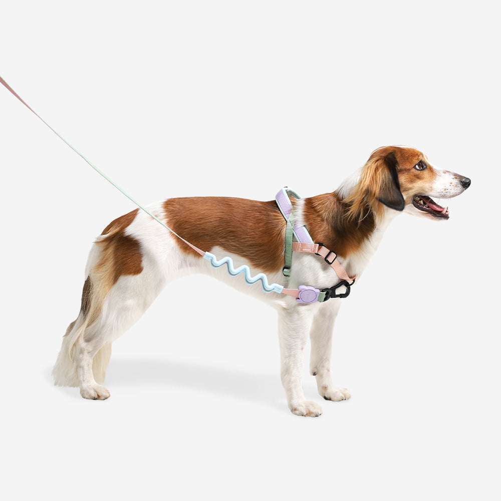 Norwegian Softer-walk Harness Peach