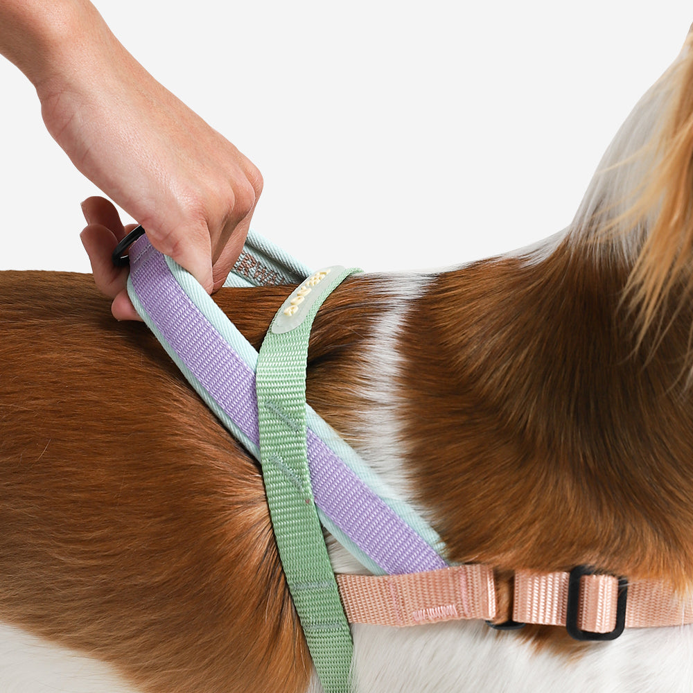 Norwegian Softer-walk Harness Peach