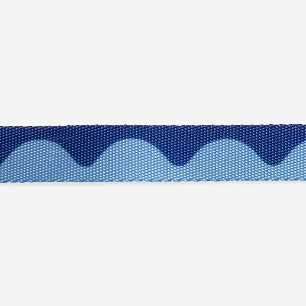 Swell Cat Harness & Leash Set