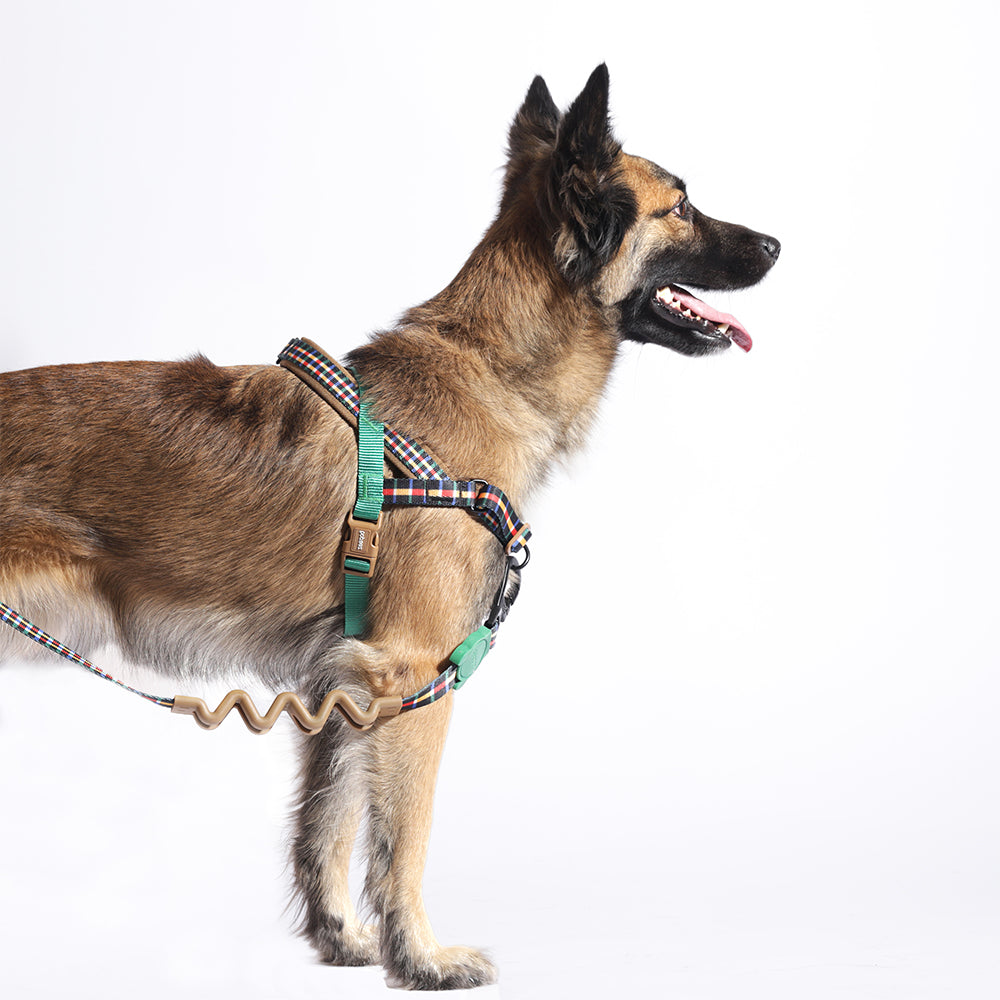 Travis Norwegian Softer-walk Harness