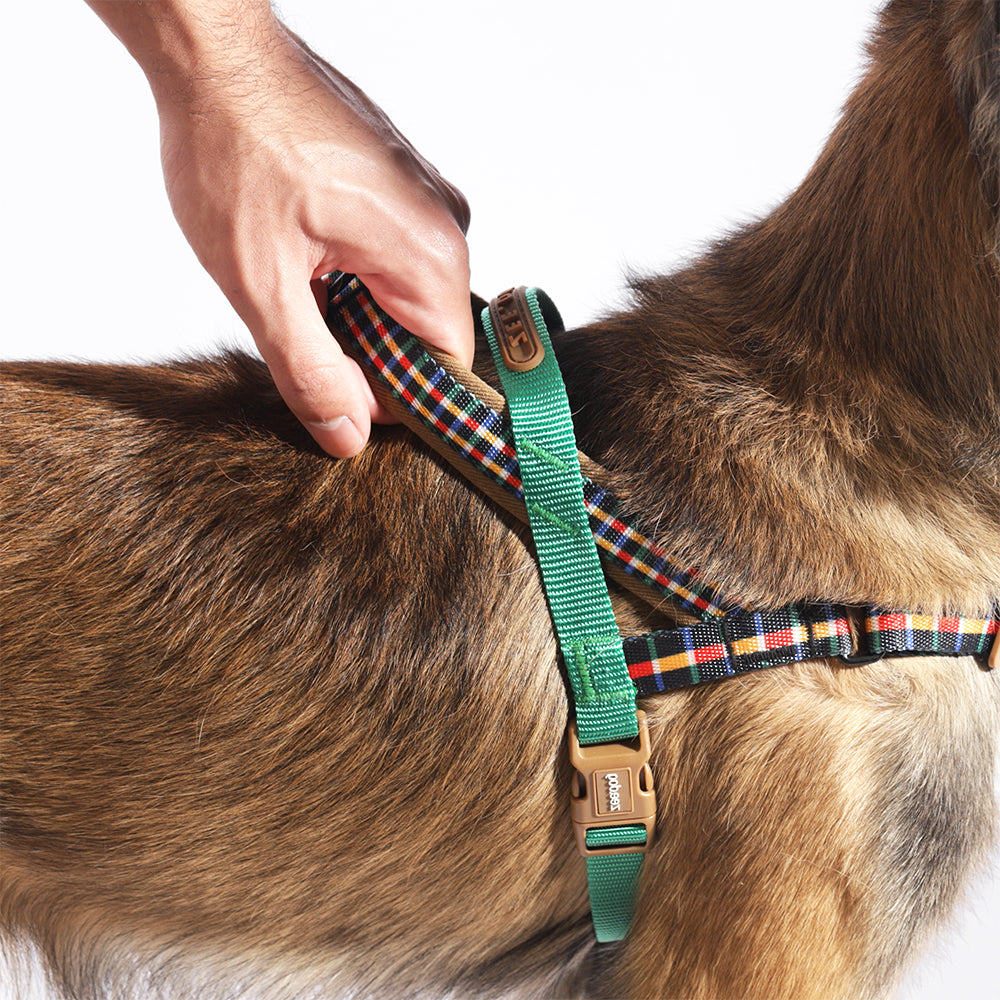 Travis Norwegian Softer-walk Harness