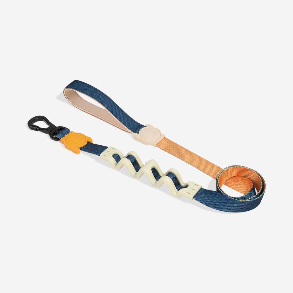 Voyage Shock Absorbing  Ruff Leash 2.0