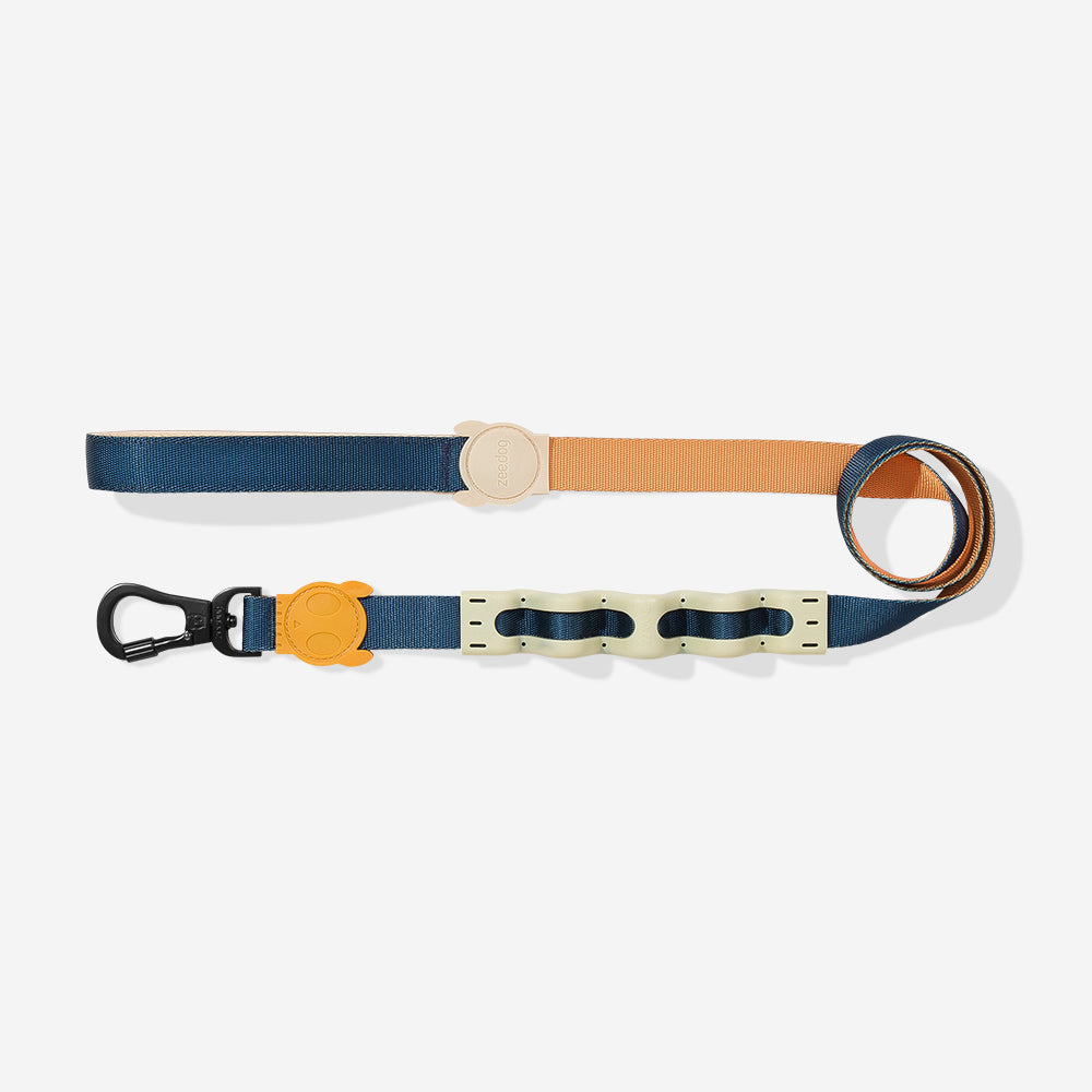 Voyage Shock Absorbing  Ruff Leash 2.0