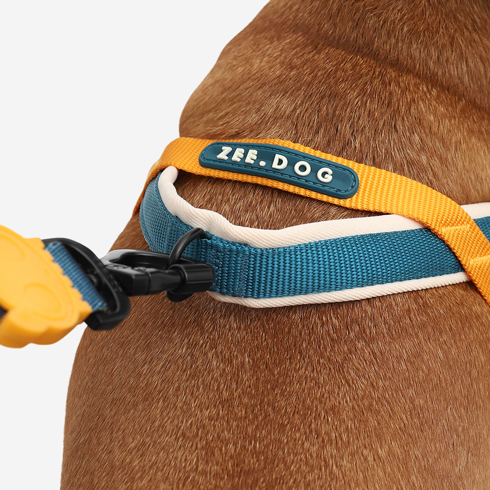 Norwegian Softer-walk Harness Voyage