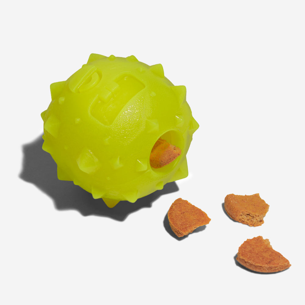 Rob The Microbe