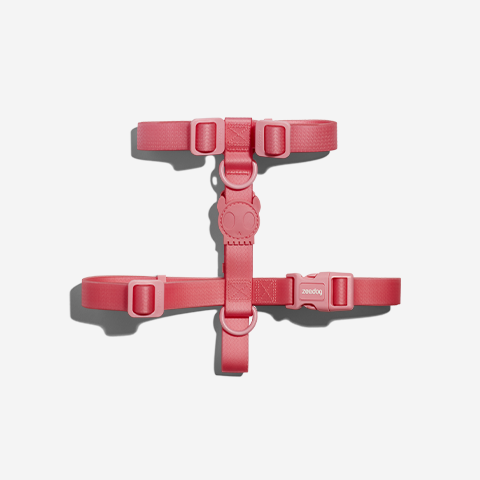 Neopro Bubblegum Pettorina ad H
