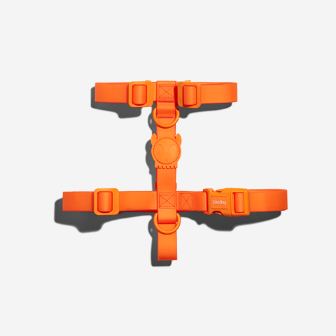 Neopro Tangerine H-Harness