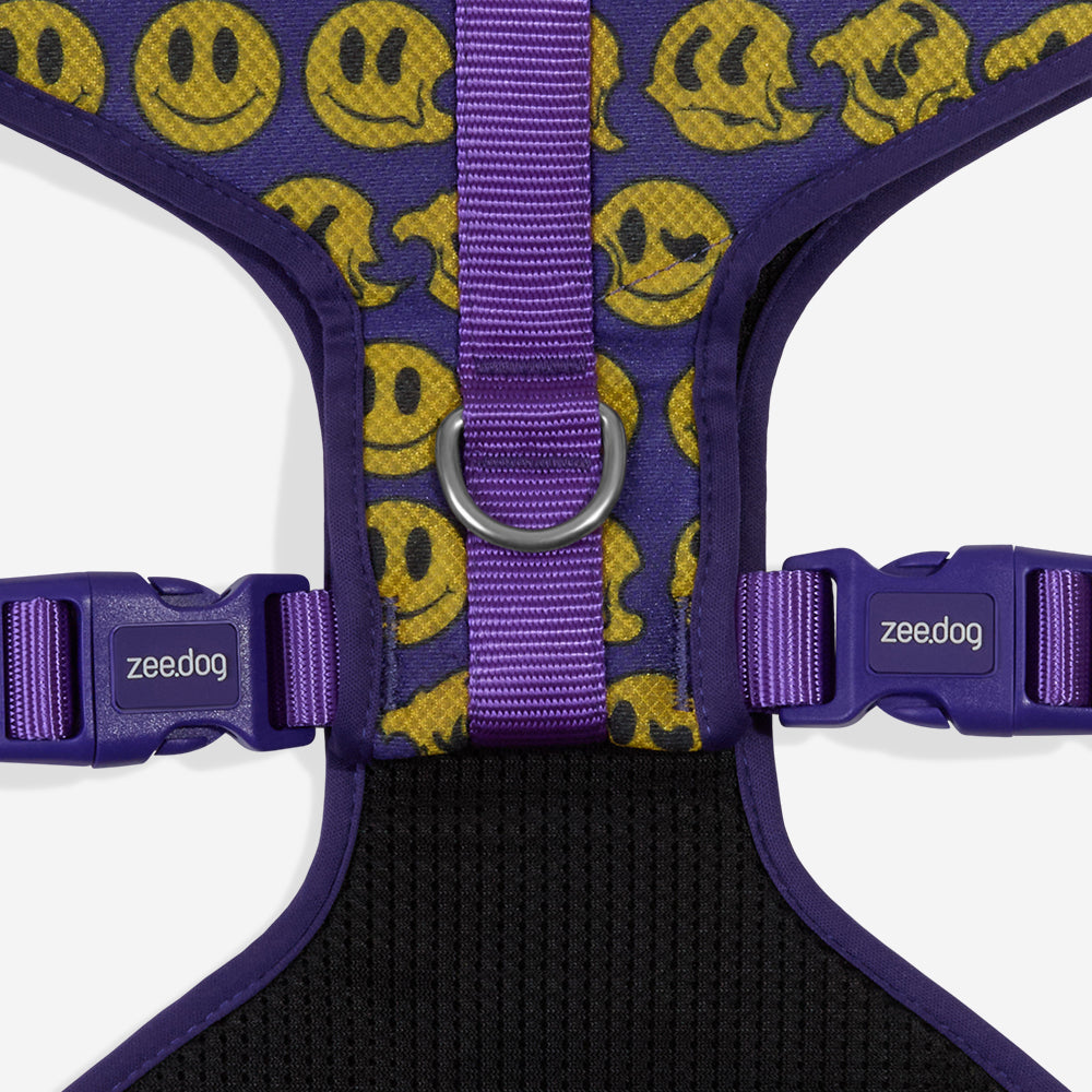 Lords Of Zee.Town Zmiley Adjustable Mesh Harness